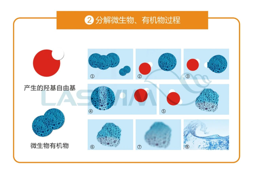 分解微生物、有机物过程