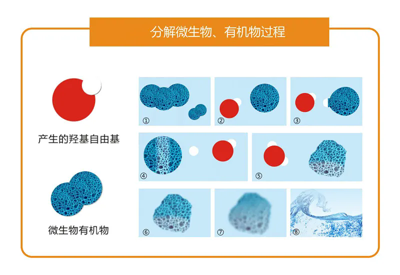 分解微生物有机物过程